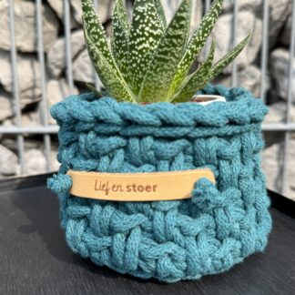 Bloempotje met plant